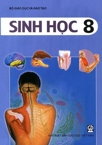 tuần 2 - bài 3: TẾ BÀO