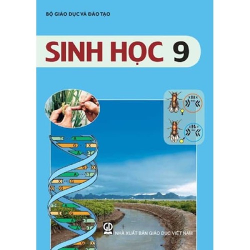 tuần 3- Bài 5: LAI HAI CẶP TÍNH TRẠNG (tiếp theo)