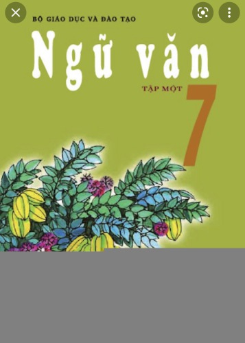 VĂN HỌC 7: TIẾT 3  MẸ TÔI